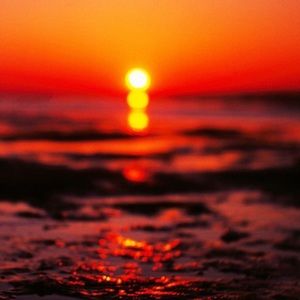 Meet your Posher, Dawson